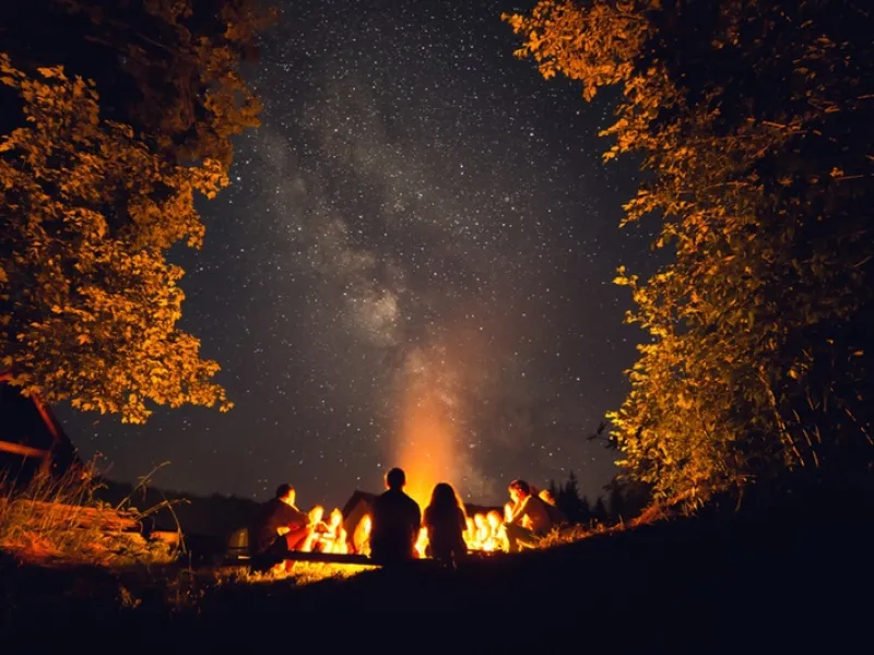 erdei iskola, nyári tábor
