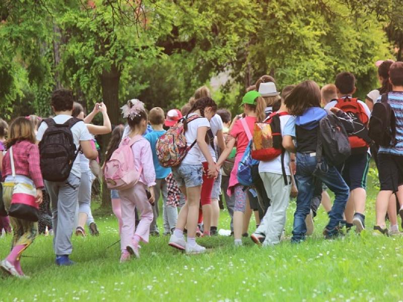 Sulis pihenések: életre szóló élmények a diákoknak és a tanároknak egyaránt